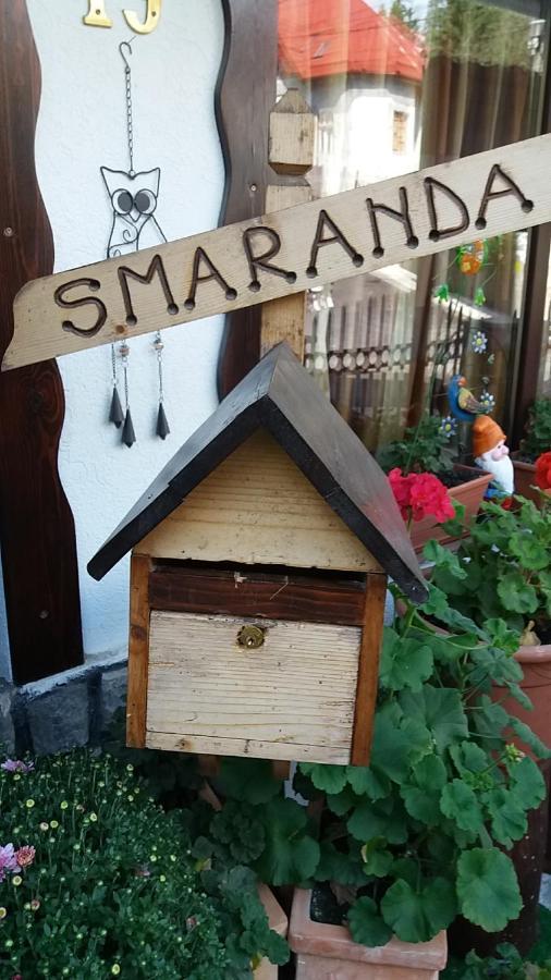 Vila Smaranda Predeal Eksteriør billede